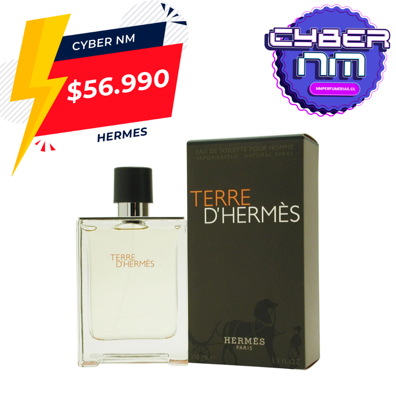 Terre D'Hermes Edt 100Ml Hombre